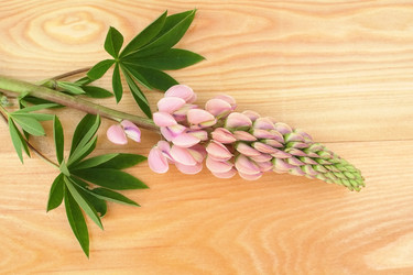 Similar image 22254569