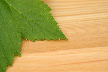 Similar image 22254572