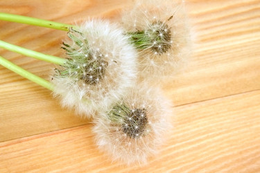 Similar image 22254573