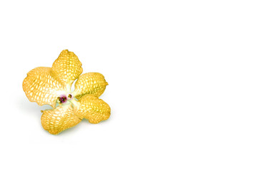 Similar image 22254576