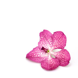 Similar image 22254577