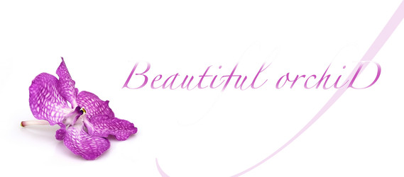 Similar image 22254578