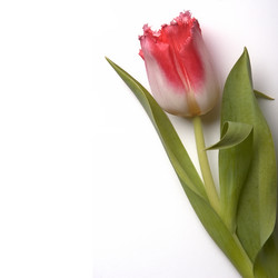 Similar image 22254581