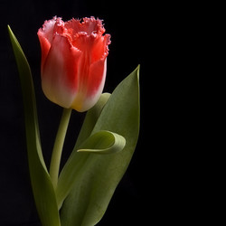 Similar image 22254582