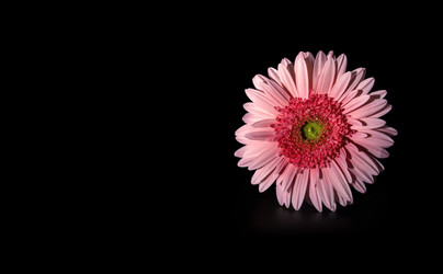 Similar image 22254684