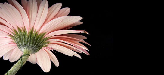 Similar image 22254685