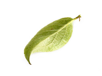 Similar image 22254776