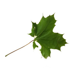 Similar image 22254778