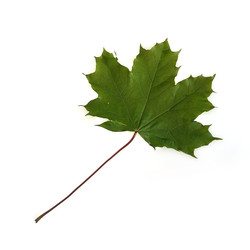 Similar image 22254782