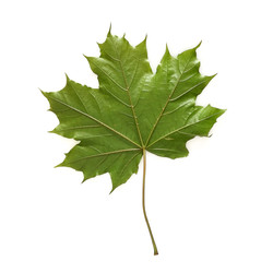 Similar image 22254785