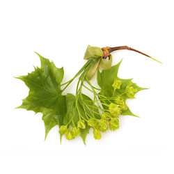 Similar image 22254787