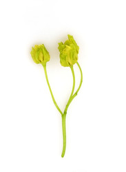 Similar image 22254788