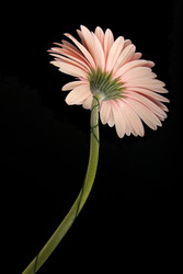 Similar image 22271731