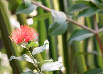 Similar image 22271732