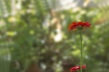 Similar image 22271733