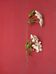 Similar image 22271734