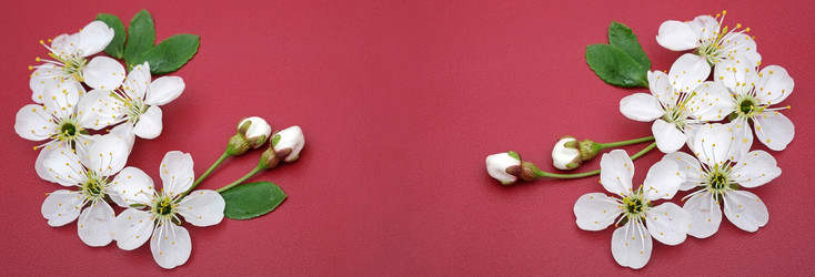 Similar image 22271735