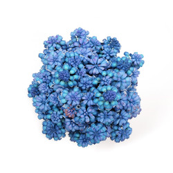 Similar image 22271737