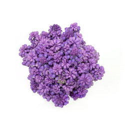 Similar image 22271738