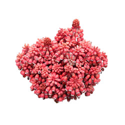 Similar image 22271739