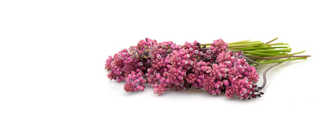 Similar image 22271740