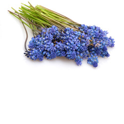 Similar image 22271741