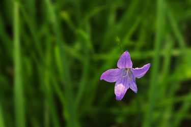 Similar image 22271742