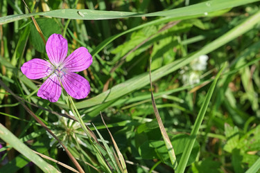 Similar image 22272008