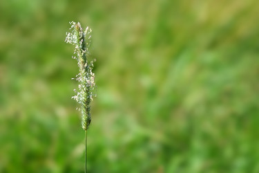 Similar image 22272009