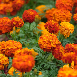 Similar image 22272010