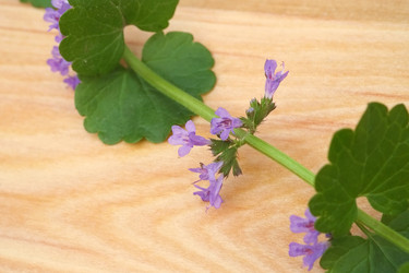 Similar image 22272011