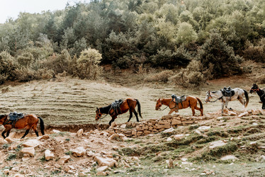 Similar image 22256185