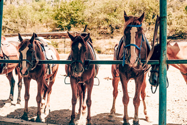 Similar image 22256186