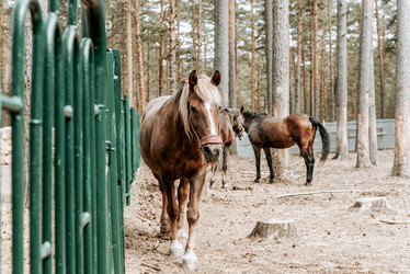 Similar image 22256187