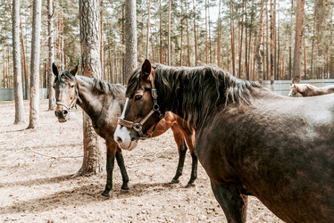 Similar image 22256188