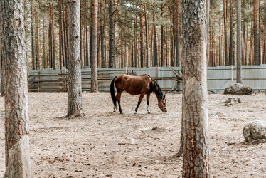 Similar image 22256189