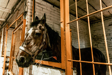 Similar image 22256190