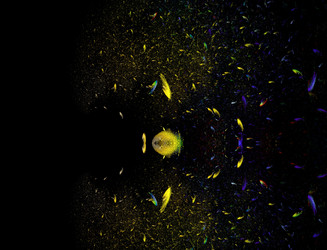 Similar image 22280766