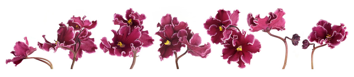 Similar image 22271744