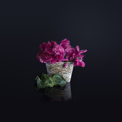 Similar image 22271746