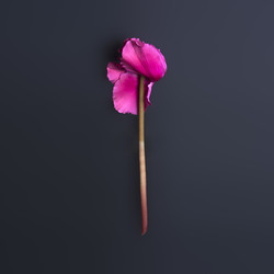 Similar image 22271748