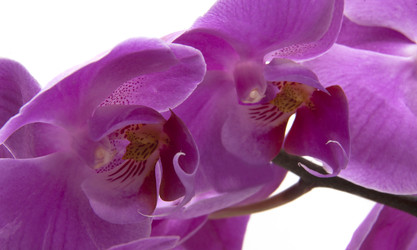 Similar image 22271749