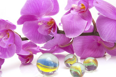 Similar image 22271751