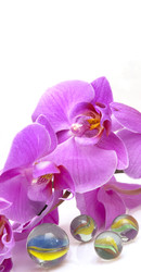 Similar image 22271753