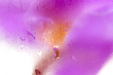 Similar image 22271754