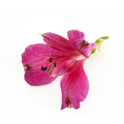 Similar image 22271760