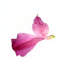 Similar image 22271761