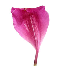 Similar image 22271762