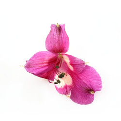 Similar image 22271765