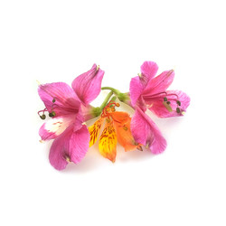 Similar image 22271770